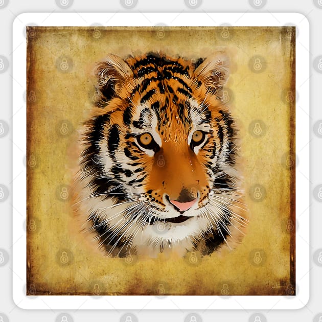 The Tiger Stare / Watercolour Art Sticker by Naumovski